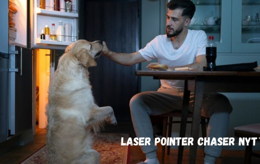 The Interest Of Laser Pointer Chaser NYT