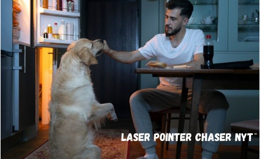 The Interest Of Laser Pointer Chaser NYT