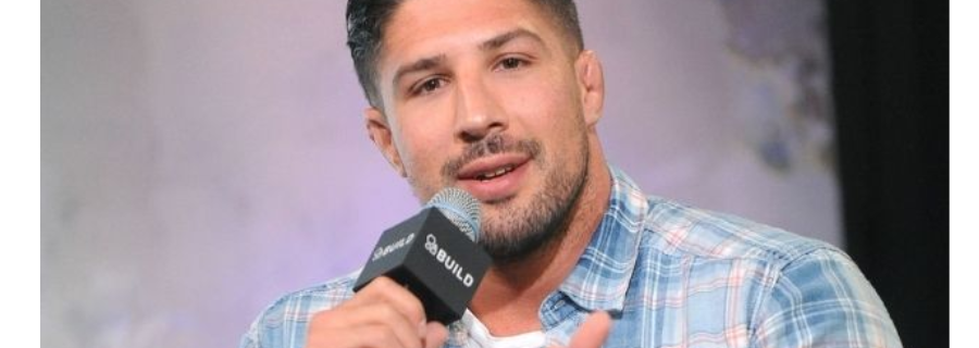 brendan schaub net worth